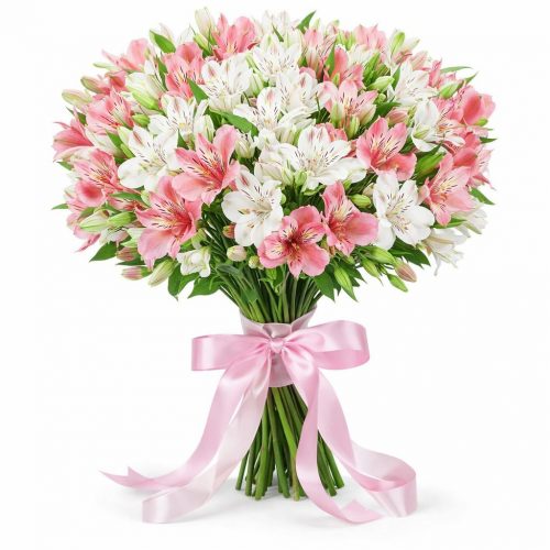 Альстромерия микс 3