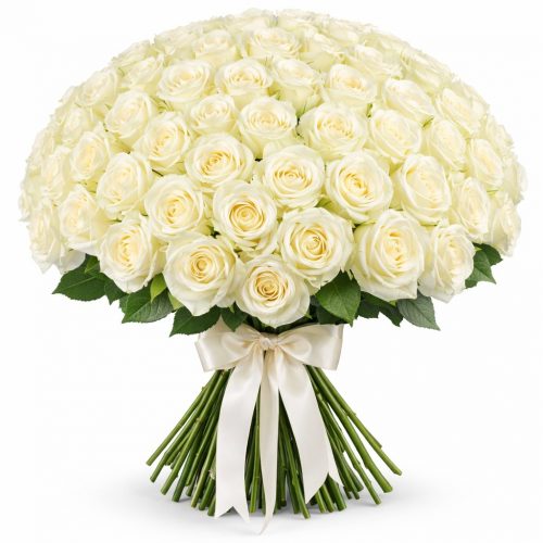 Розы Россия белые