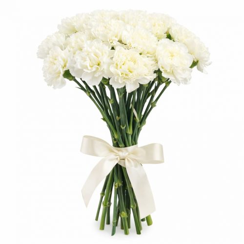 Диантус белый