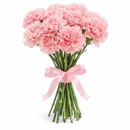 Диантус светло-розовый