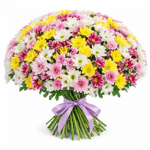 Хризантема кустовая микс 2