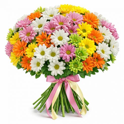 Хризантема кустовая микс 6