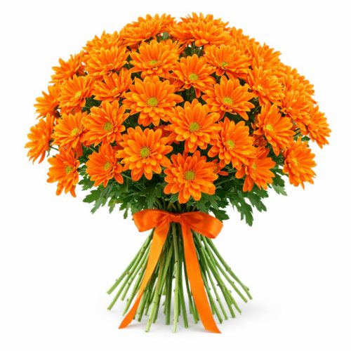 Хризантема кустовая оранжевая