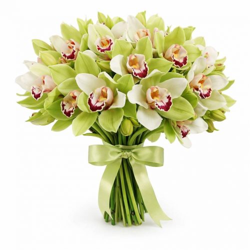 Орхидея зеленая