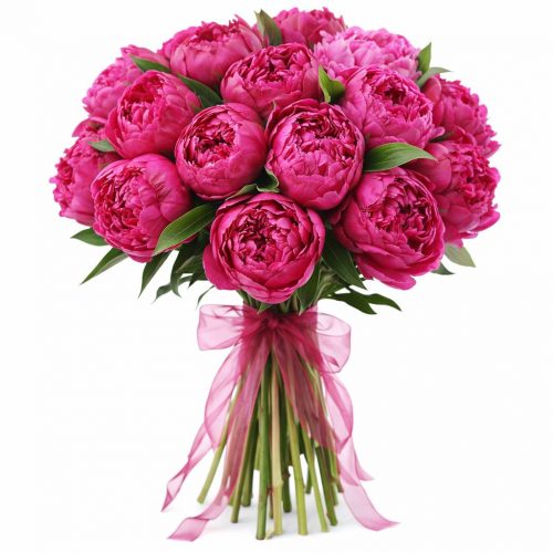 Пион темно розовый