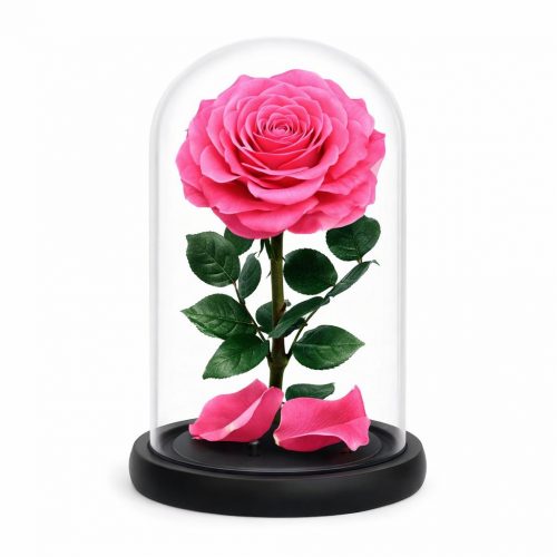 Роза в колбе розовая