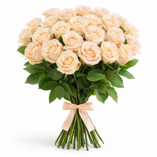 Розы Эквадор кремовые