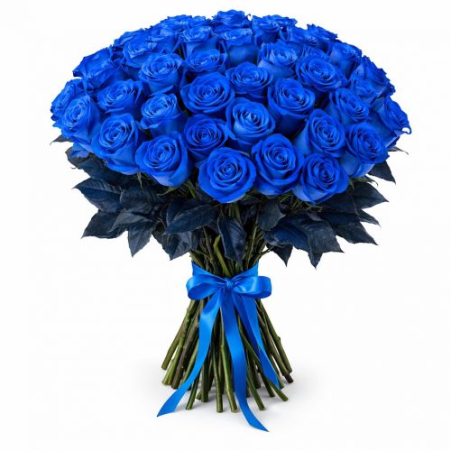 Розы Голландия синие
