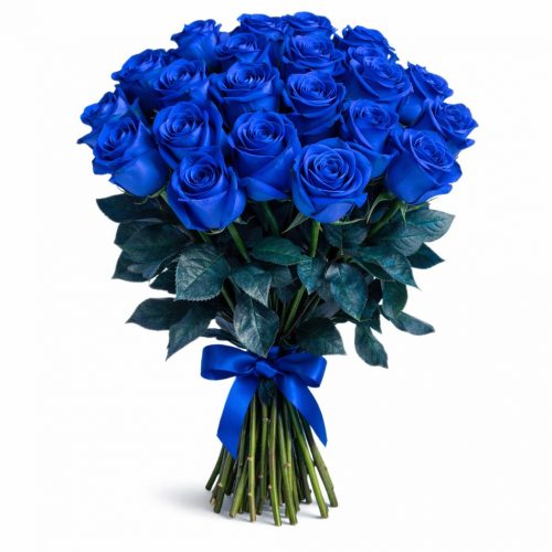 Розы Кения синие