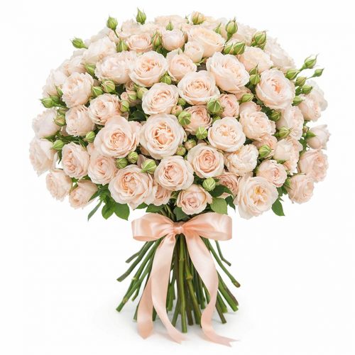 Розы Пионовидные белые